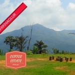 Camp out under the stars at Chikmagalur
