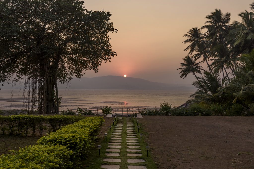 beach, lawn, coconut groves, sunset, mountains
