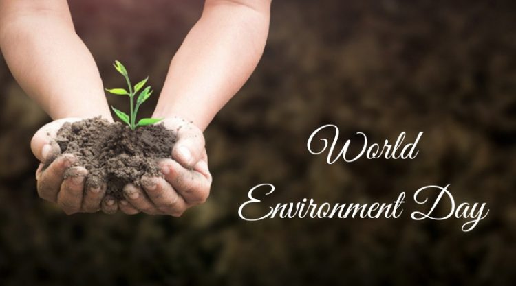 Eco friendly homes to celebrate world environment day