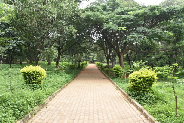 Cubbon Park, Bangalore 