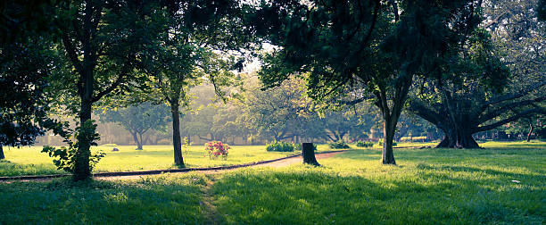 Bangalore - The Garden City