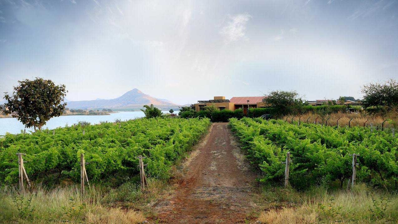 Head to the vineyards close to SaffronStays Glistening Waters & Spa for wine tasting
