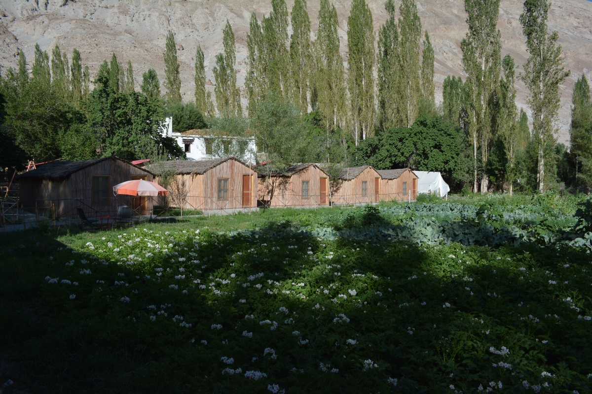 Homestays in Ladakh