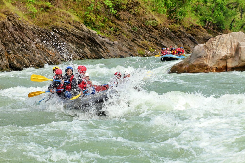 Group of tourists white water rafting on the Beas River near Manali in Himachal Pradesh with green forested riverbanks