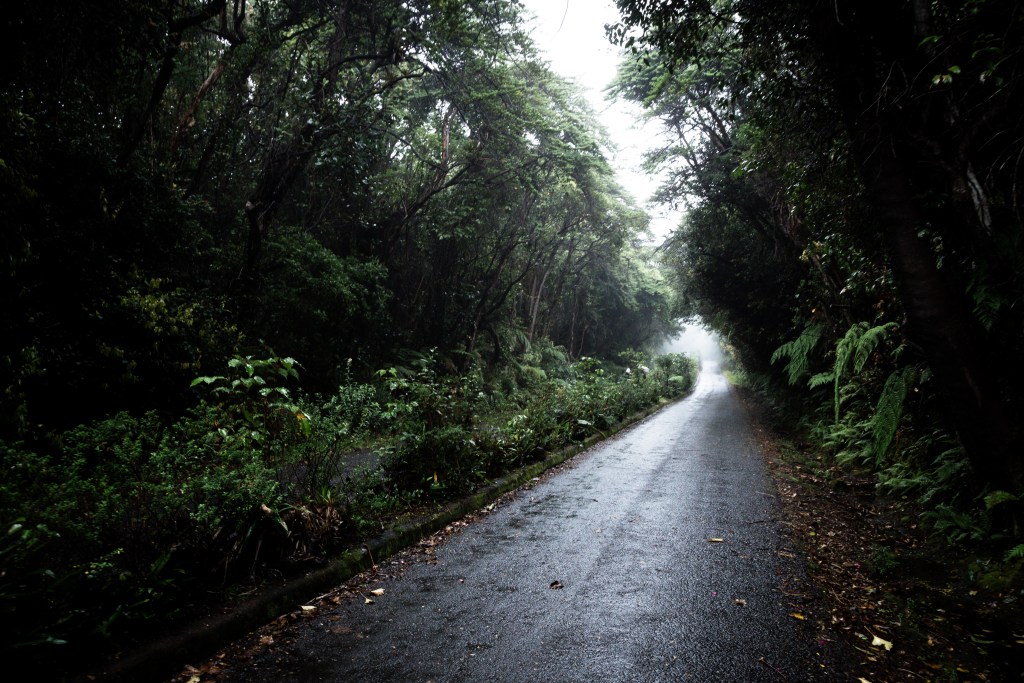 Rain-soaked tree-lined street in Pune, ideally Fergusson College Road or a Koregaon Park lane, wet pavement reflecting streetlights or overcast daylight, monsoon greenery on the trees.