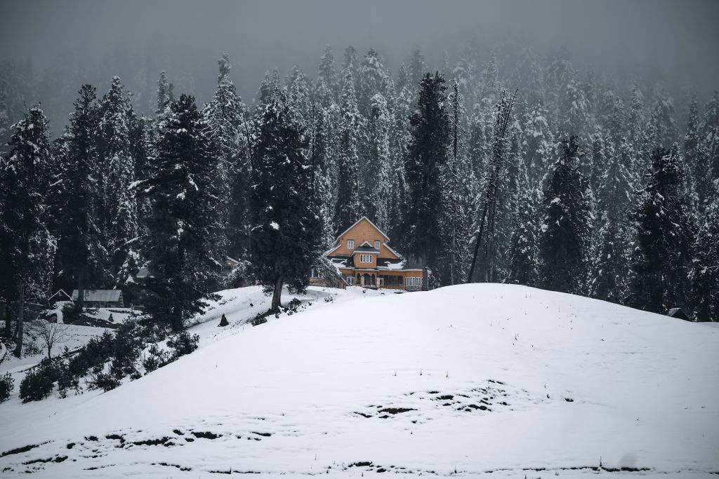 A snow-covered landscape featuring a cozy yellow house surrounded by tall evergreen trees in a foggy atmosphere.