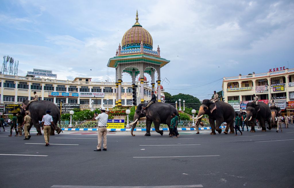 A procession of elephants crossing a busy road in a city square, with ornate architecture in the background and people guiding the elephants.